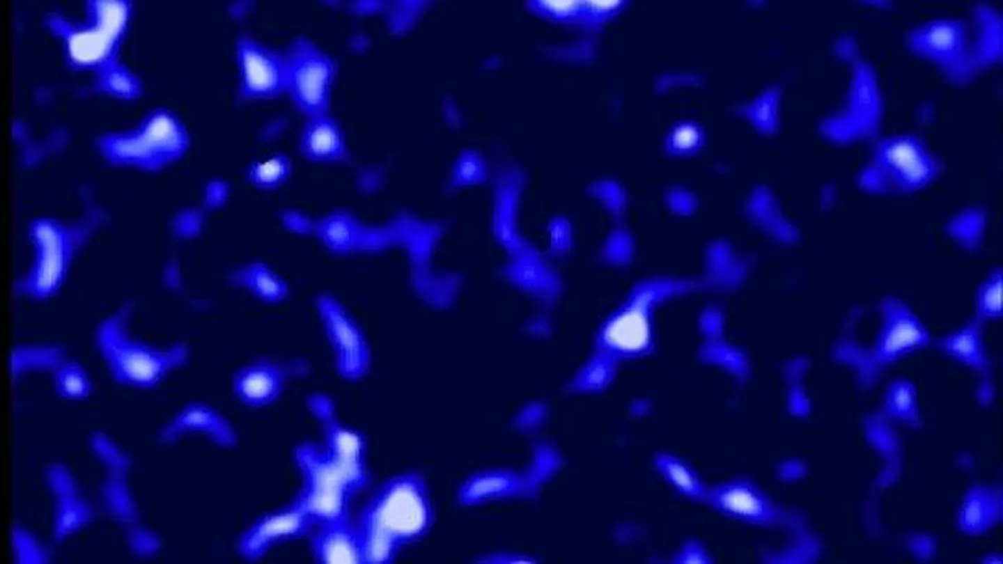 Materia oscura Materia oscura