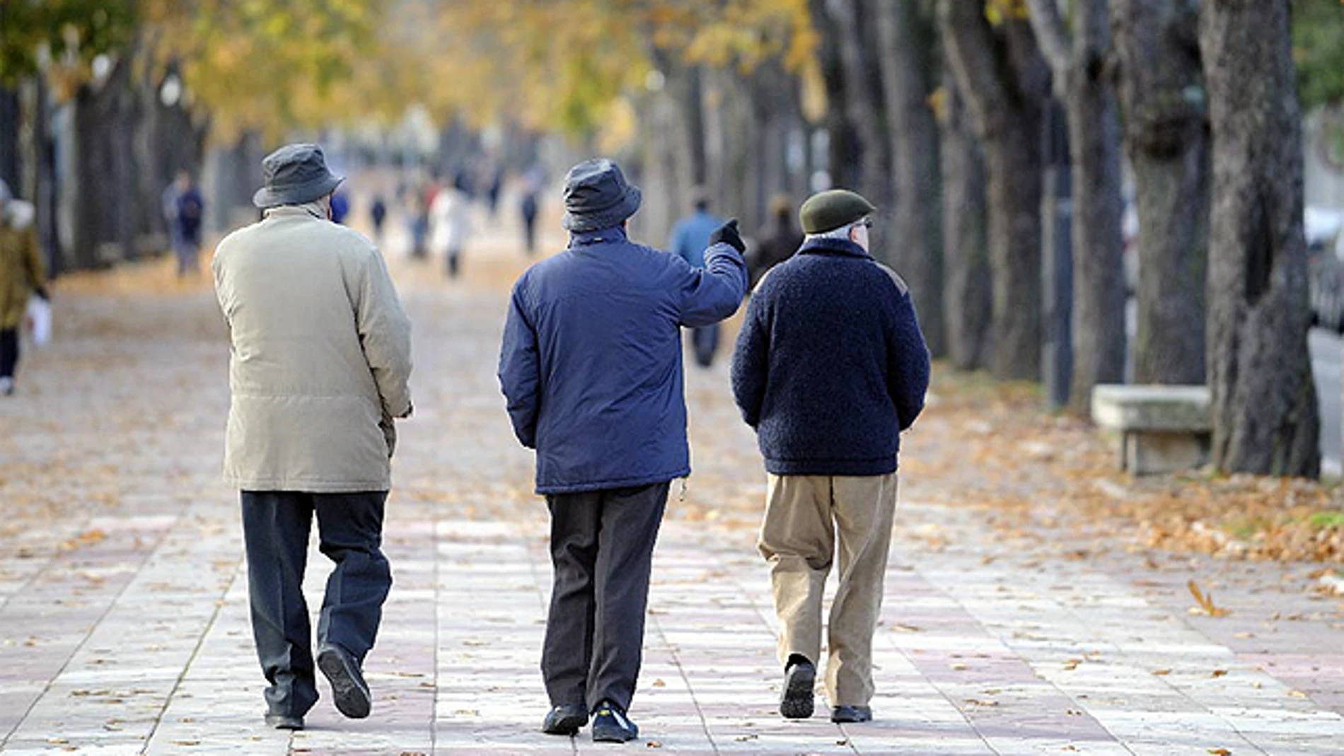 Tres hombres mayores paseando