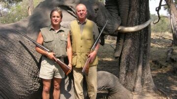 Imágen de el rey en un safari en Botsuana