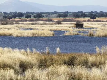 Parque Nacional de las Tablas de Daimiel Parque Nacional de las Tablas de Daimiel