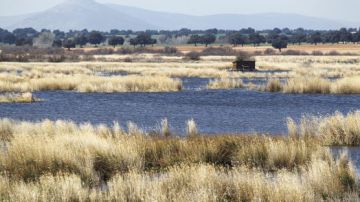 Parque Nacional de las Tablas de Daimiel