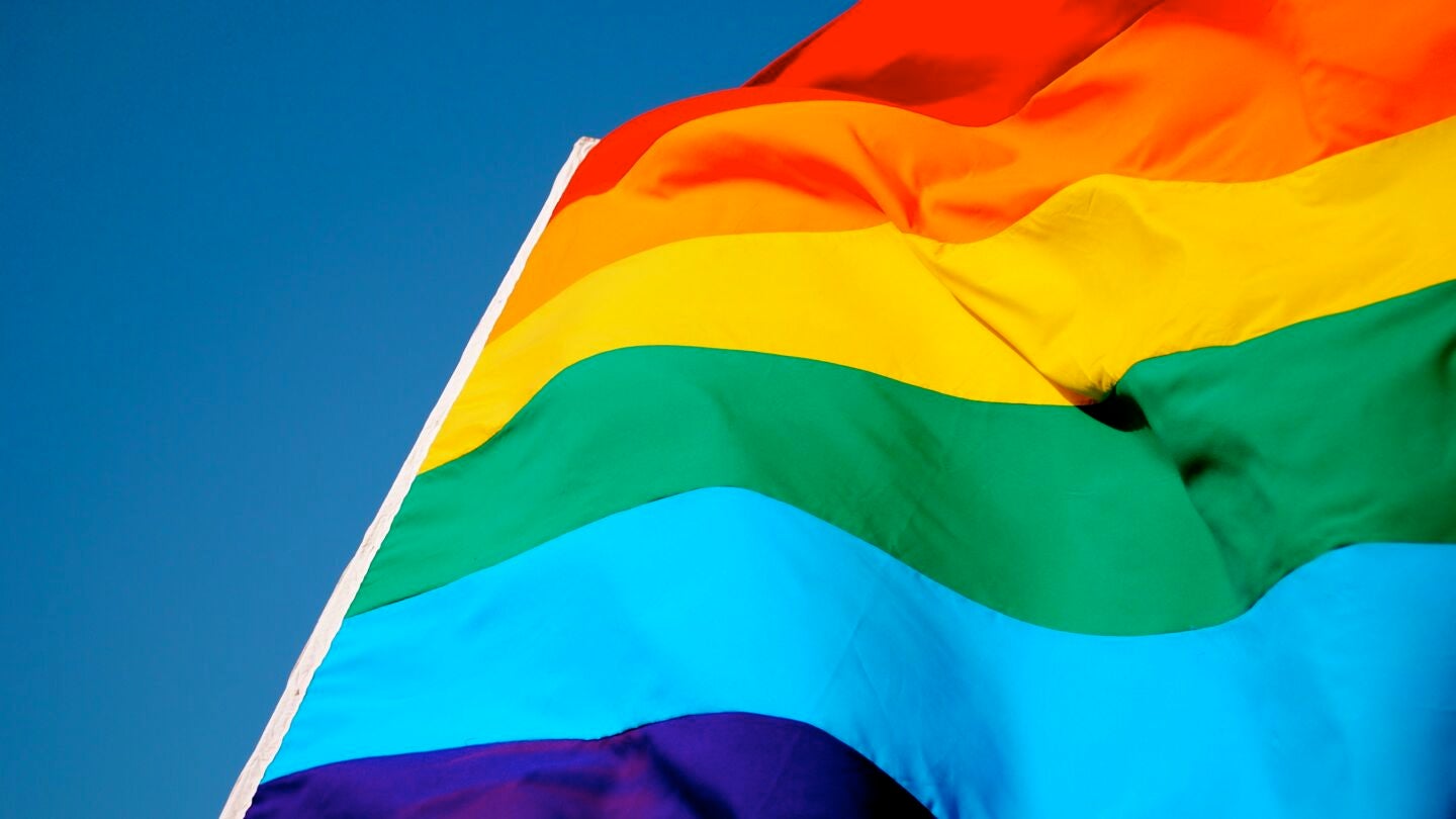 Bandera multicolor