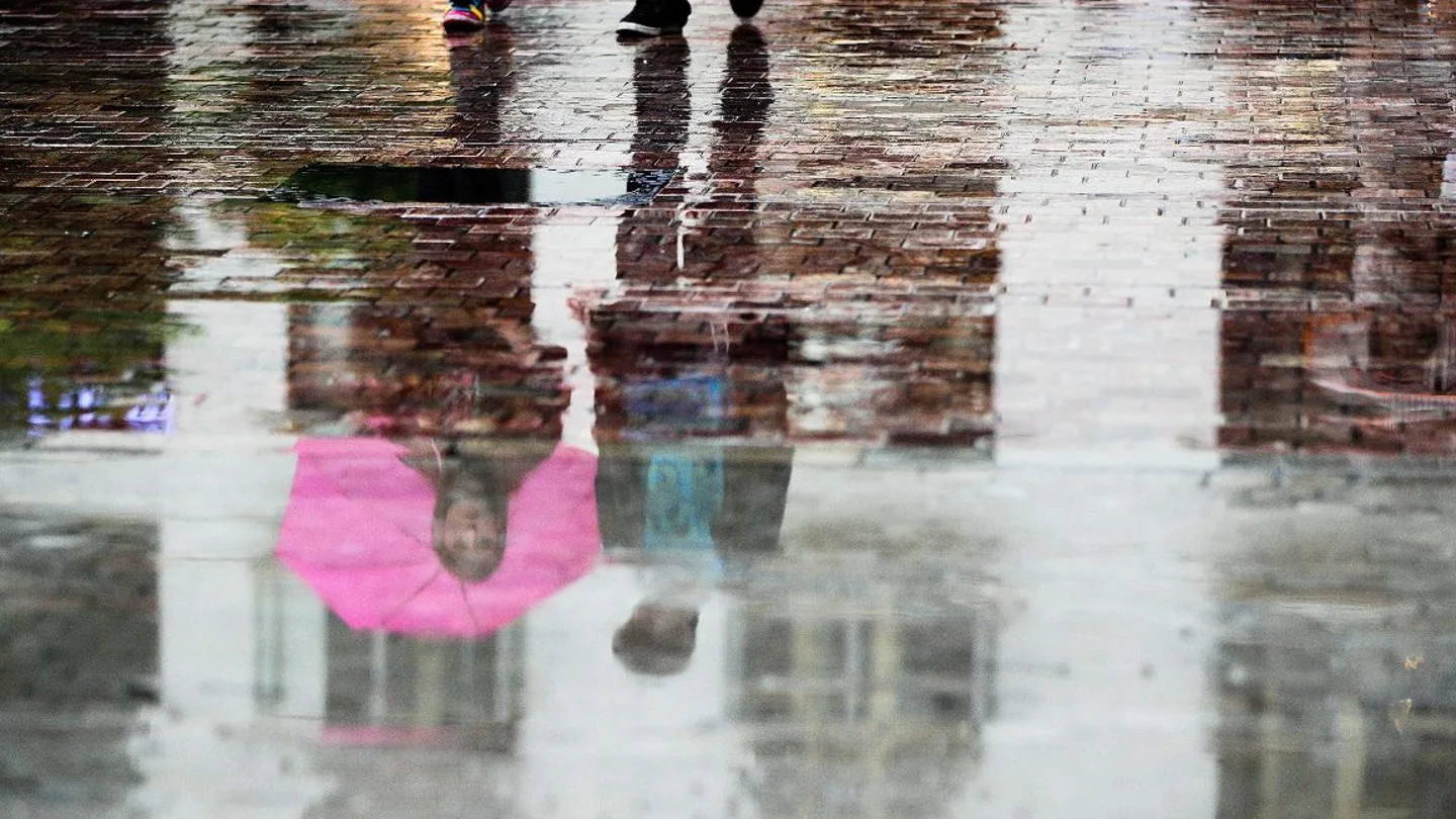 Reflejo sobre un suelo mojado Reflejo sobre un suelo mojado