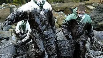 Voluntarios limpiando el fuel del Prestige