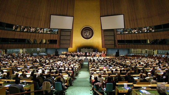 La Asamblea General vota para reconocer a Palestina como estado observador La Asamblea General vota para reconocer a Palestina como estado observador