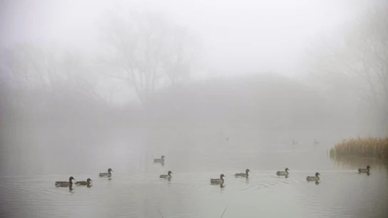La niebla cubre España La niebla cubre España
