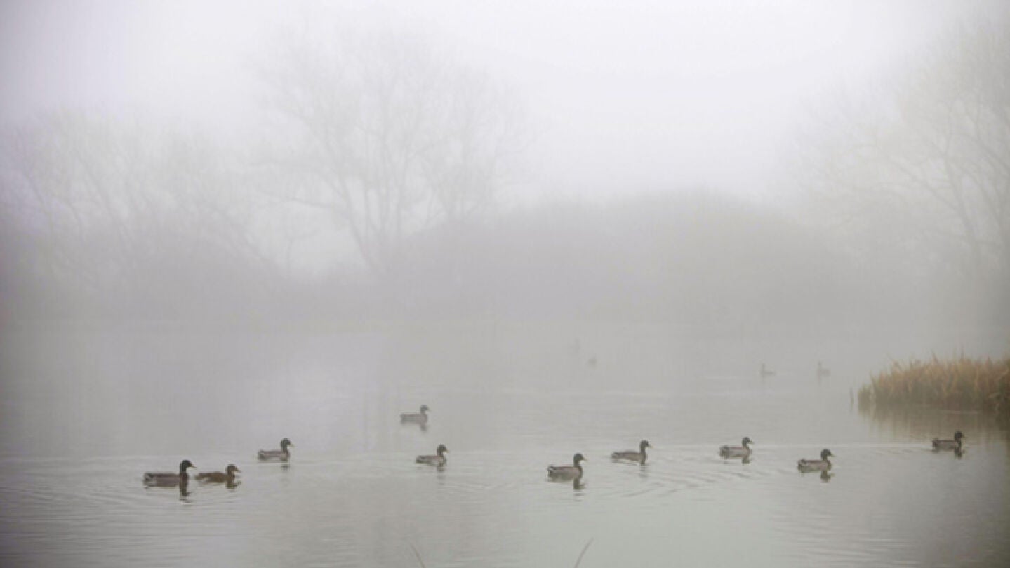 La niebla cubre Espa&ntilde;a