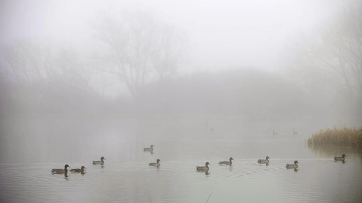 La niebla cubre España La niebla cubre España