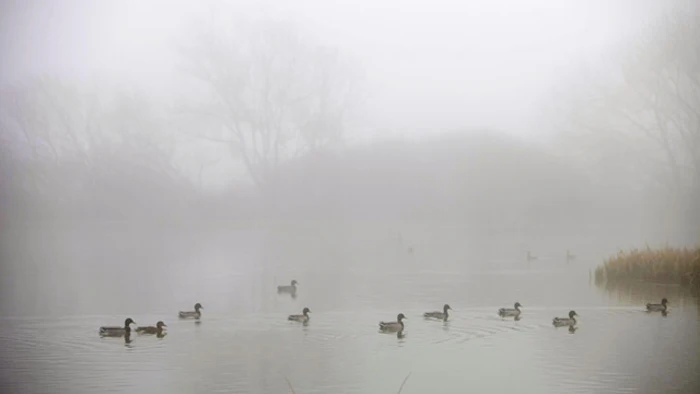 La niebla cubre España