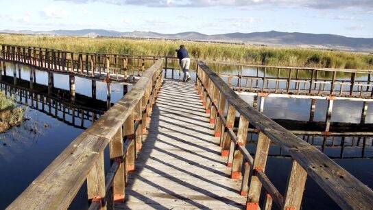 Parque Nacional de Tablas de Daimiel