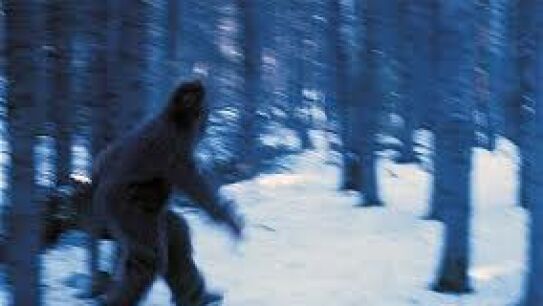 Una de las im&aacute;genes que circulan en la red sobre posibles 'Yeti'