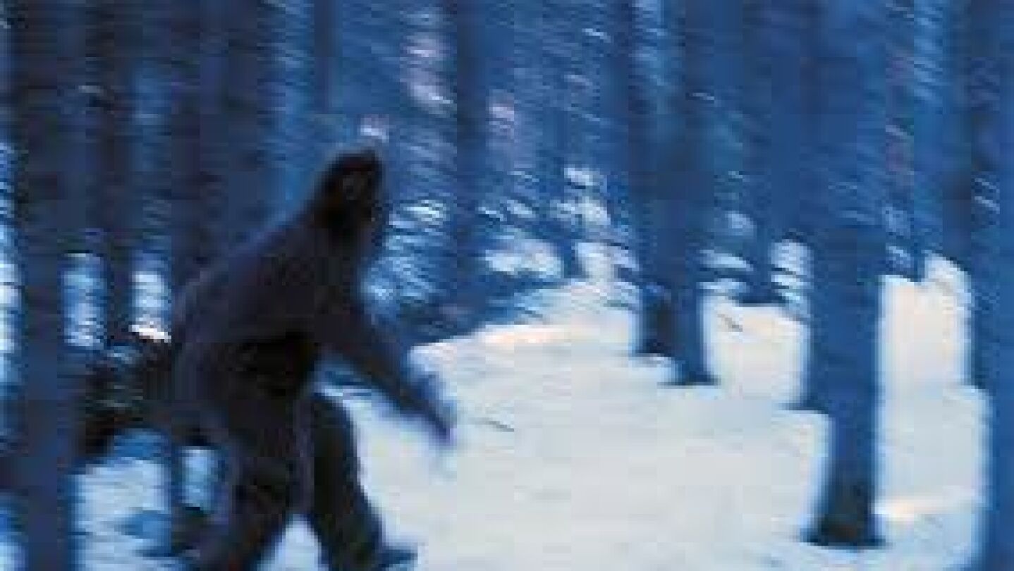 Una de las im&aacute;genes que circulan en la red sobre posibles 'Yeti'