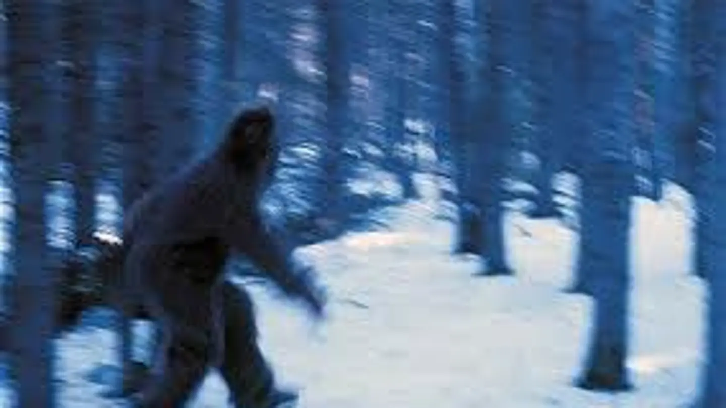 Una de las imágenes que circulan en la red sobre posibles 'Yeti' Una de las imágenes que circulan en la red sobre posibles 'Yeti'