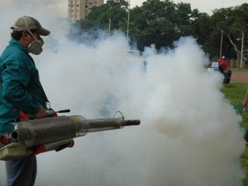 La fumigación es fundamental para combatir los mosquitos que transmiten el dengue 