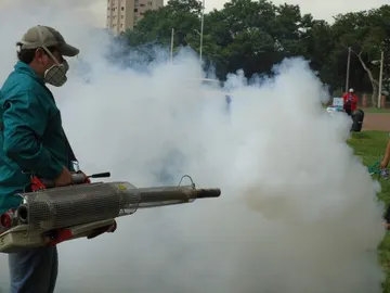 La fumigación es fundamental para combatir los mosquitos que transmiten el dengue La fumigación es fundamental para combatir los mosquitos que transmiten el dengue