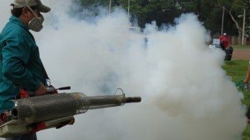La fumigación es fundamental para combatir los mosquitos que transmiten el dengue