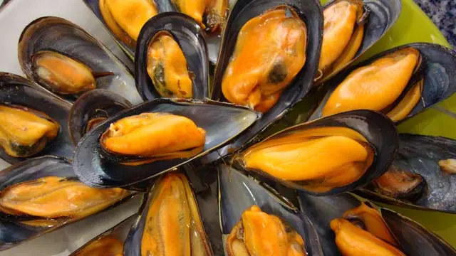 Mejillones Mejillones