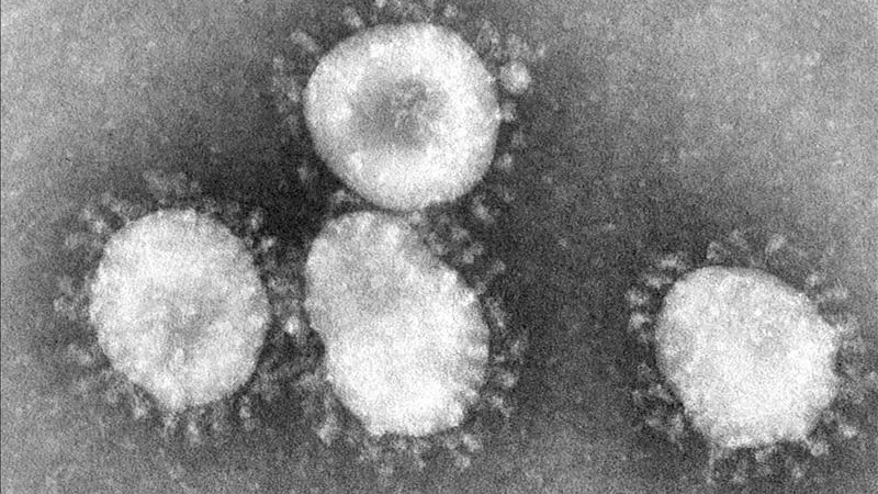 Imagen del coronavirus en el microscopio