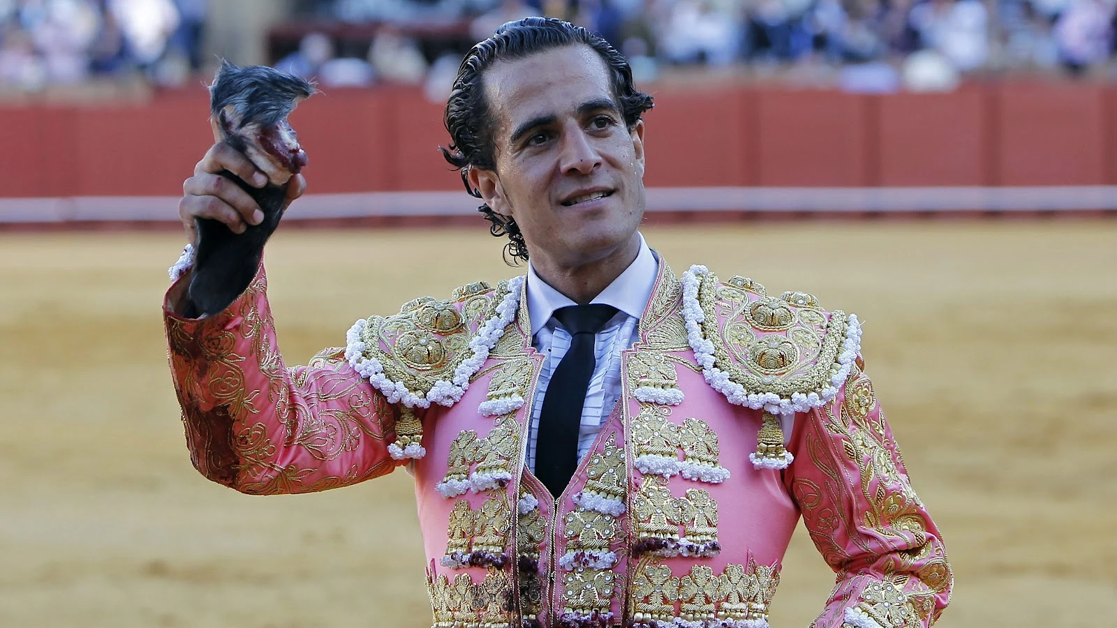 El torero Iván Fandiño