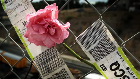 Detalle de una flor colocada en una verja en las inmediaciones de la vía. Detalle de una flor colocada en una verja en las inmediaciones de la vía.