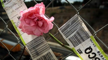 Detalle de una flor colocada en una verja en las inmediaciones de la vía. 