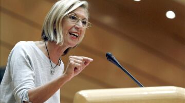 Rosa Díez durante su turno de palabra en el Senado