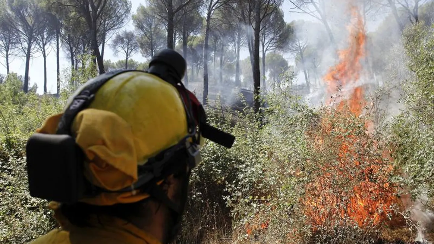 Bombero trabajando para sofocar el incendio de Ávila Bombero trabajando para sofocar el incendio de Ávila