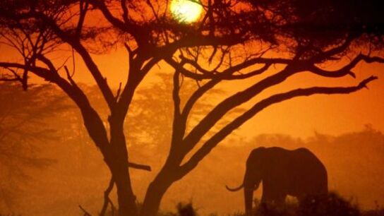 Kenia