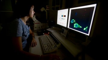 Investigación en laboratorio