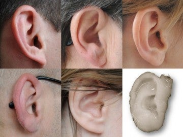 Crean orejas humanas