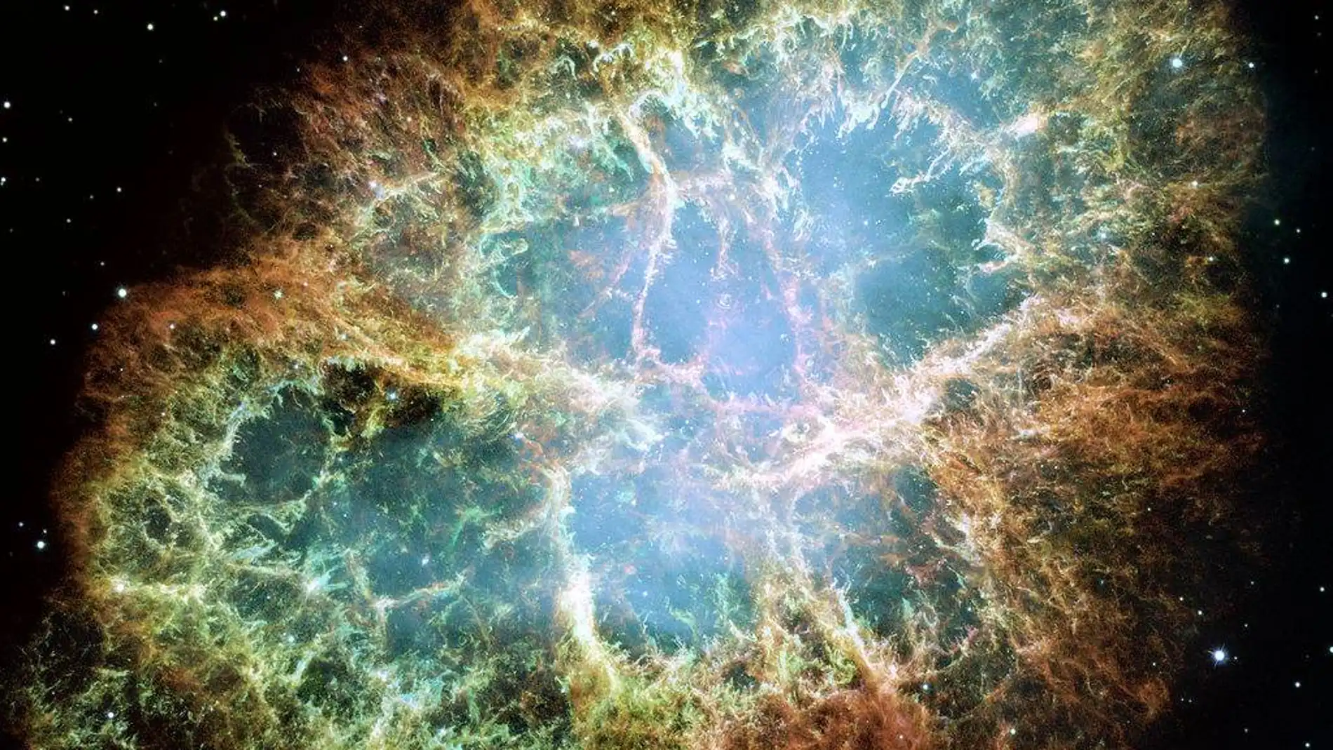 Restos de una explosión de supernova conocidos como “Nebulosa del Cangrejo” (M1) situada a 6300 años luz. Su luz llegó a la Tierra en el año 1054 de nuestra. El brillo de la explosión duró varias semanas y su brillo era comparable al de la Luna