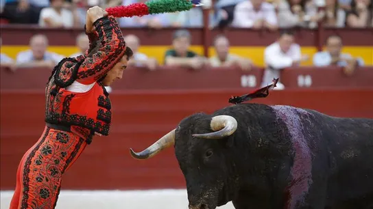 Instante previo a clavar las banderillas a un toro Instante previo a clavar las banderillas a un toro