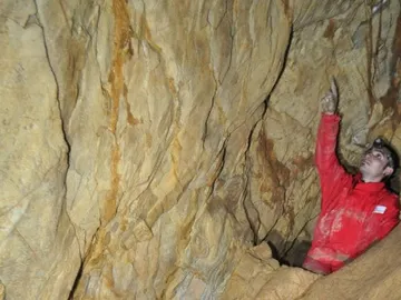 el bisonte de Altxerri el bisonte de Altxerri