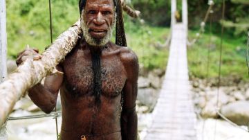 Tribu dani