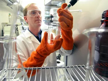 EEUU es el país que más ciencia española "apropia" en patentes EEUU es el país que más ciencia española "apropia" en patentes