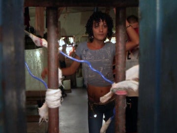 Travesti en la cárcel de Costa Rica Travesti en la cárcel de Costa Rica