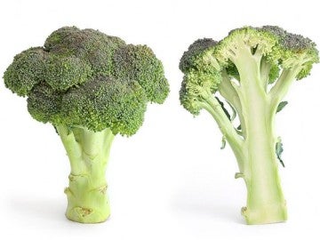 Vegetales como el brócoli sirven para crear compuestos que pueden proteger frente a la radiación