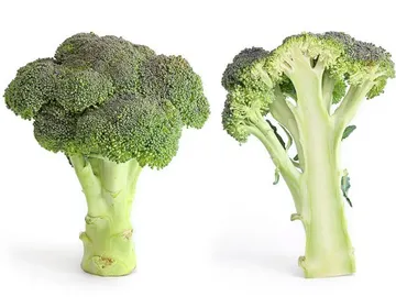 Vegetales como el brócoli sirven para crear compuestos que pueden proteger frente a la radiación Vegetales como el brócoli sirven para crear compuestos que pueden proteger frente a la radiación