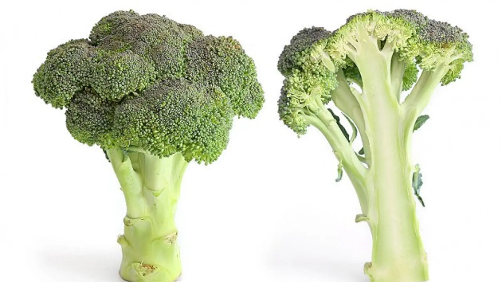 Vegetales como el brócoli sirven para crear compuestos que pueden proteger frente a la radiación