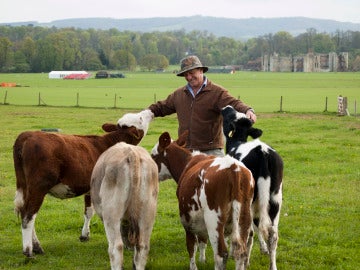 Kirk Gadzia, rodeado de vacas