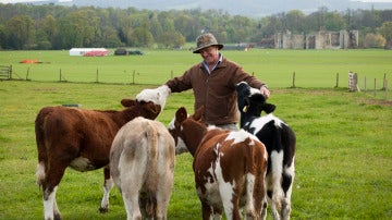 Kirk Gadzia, rodeado de vacas