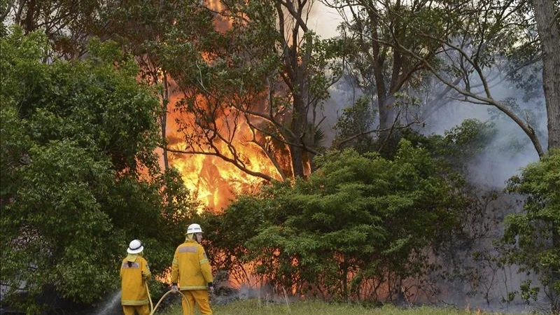 Bomberos intentan extinguir las llamas de un incendio.