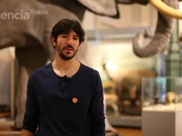 Nuño Domínguez VideoBlog Animales Nuño Domínguez VideoBlog Animales