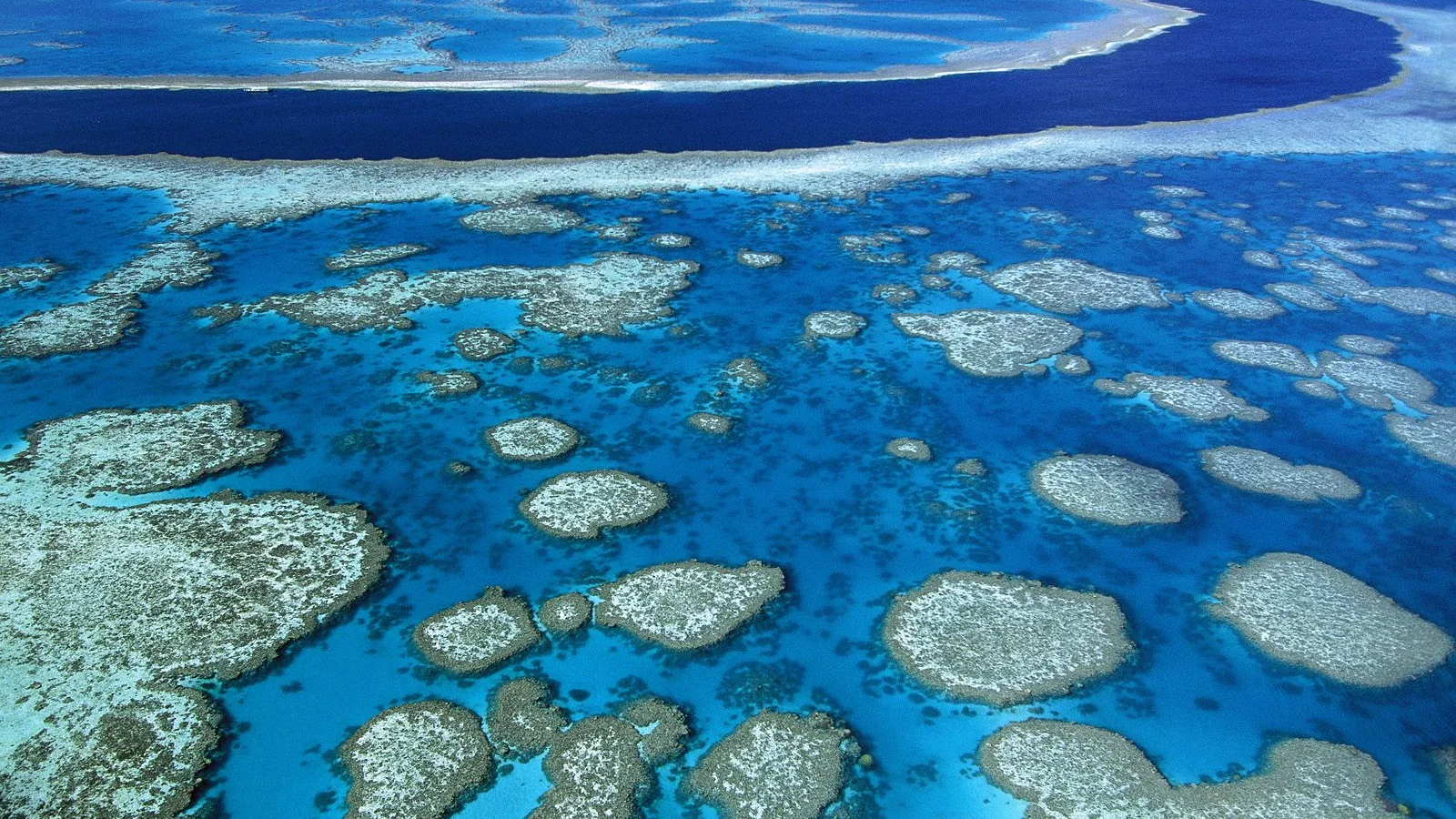 El canal de la Gran Barrera de Coral