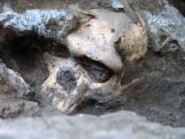 Dmanisi. El cráneo de Dmanisi, durante la excavación
