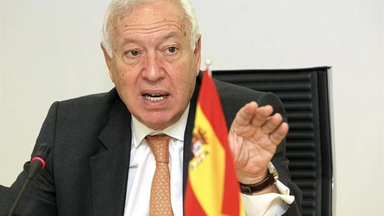 El ministro español de Asuntos Exteriores, José Manuel García-Margallo. El ministro español de Asuntos Exteriores, José Manuel García-Margallo.