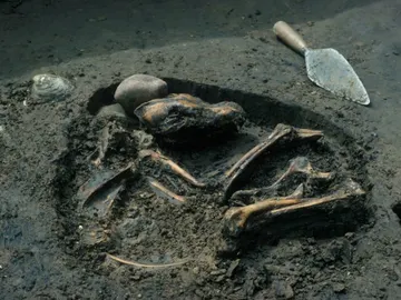 Enterramiento canino de hace 8.500 años hallado en Illinois (EEUU) Enterramiento canino de hace 8.500 años hallado en Illinois (EEUU)