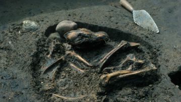 Enterramiento canino de hace 8.500 años hallado en Illinois (EEUU)