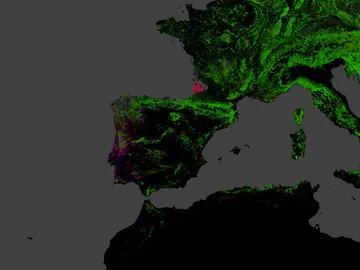 Mapa Interactivo Incendios Mapa Interactivo Incendios