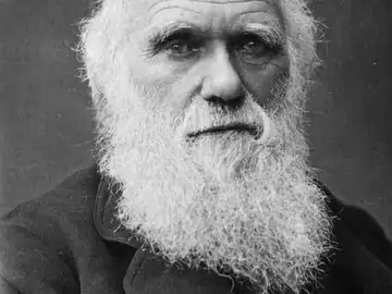 Ilustración de Charles Darwin Ilustración de Charles Darwin